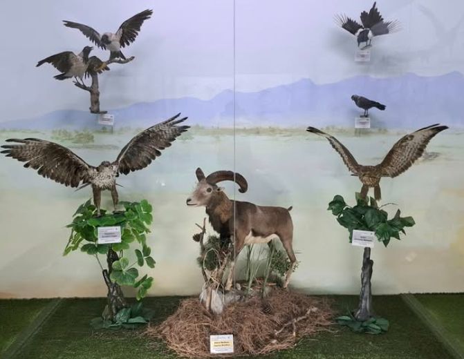 Güzelyurt Museum exhibits